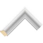 S205 – 40mm wide bright silver brushed frame Chevron